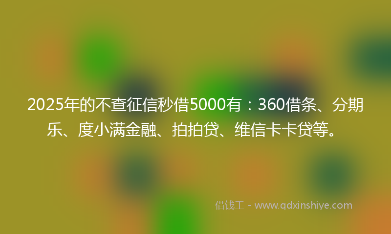 2025年的不查征信秒借5000有：360借条、分期乐、度小满金融、拍拍贷、维信卡卡贷等。