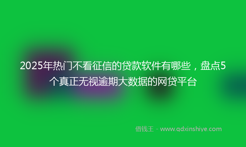2025年热门不看征信的贷款软件有哪些，盘点5个真正无视逾期大数据的网贷平台