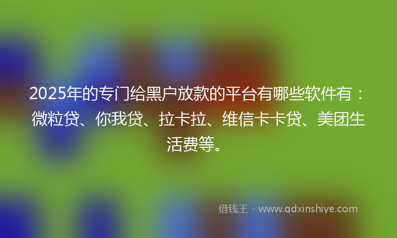 2025年的专门给黑户放款的平台有哪些软件有：微粒贷、你我贷、拉卡拉、维信卡卡贷、美团生活费等。