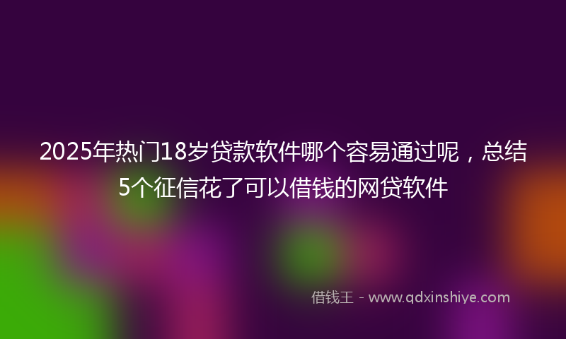 2025年热门18岁贷款软件哪个容易通过呢，总结5个征信花了可以借钱的网贷软件