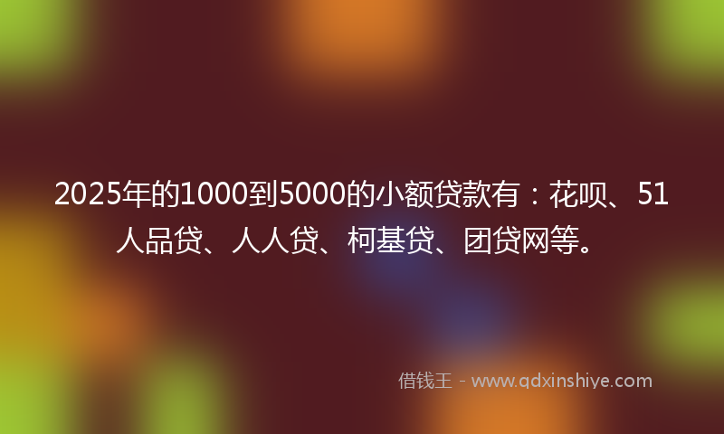 2025年的1000到5000的小额贷款有：花呗、51人品贷、人人贷、柯基贷、团贷网等。