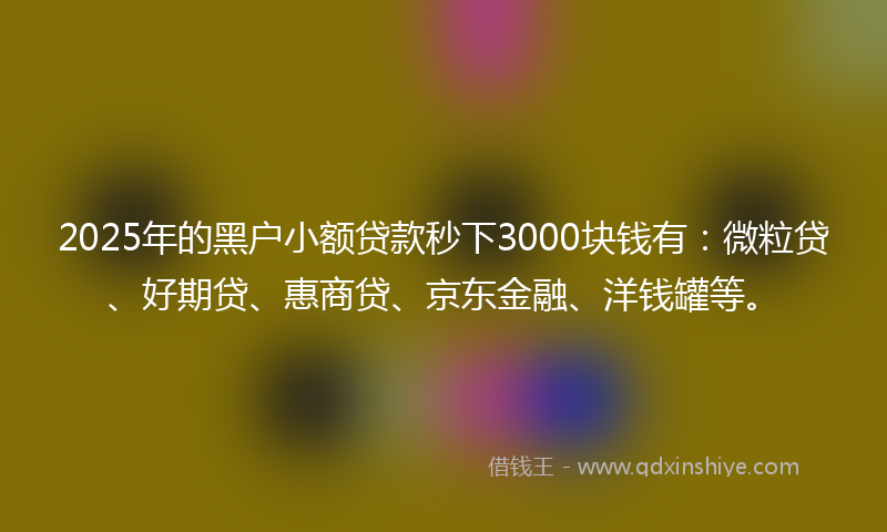 2025年的黑户小额贷款秒下3000块钱有：微粒贷、好期贷、惠商贷、京东金融、洋钱罐等。
