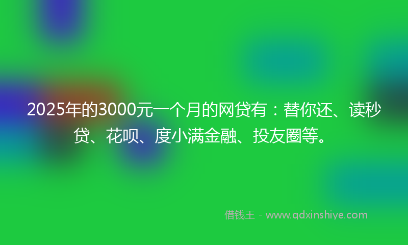 2025年的3000元一个月的网贷有：替你还、读秒贷、花呗、度小满金融、投友圈等。