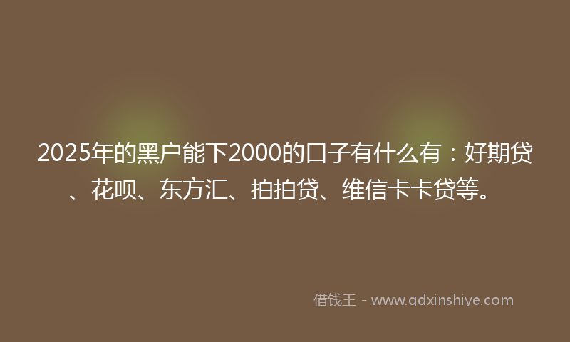 2025年的黑户能下2000的口子有什么有：好期贷、花呗、东方汇、拍拍贷、维信卡卡贷等。