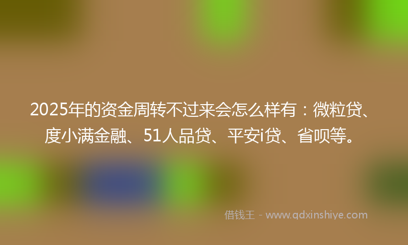 2025年的资金周转不过来会怎么样有：微粒贷、度小满金融、51人品贷、平安i贷、省呗等。