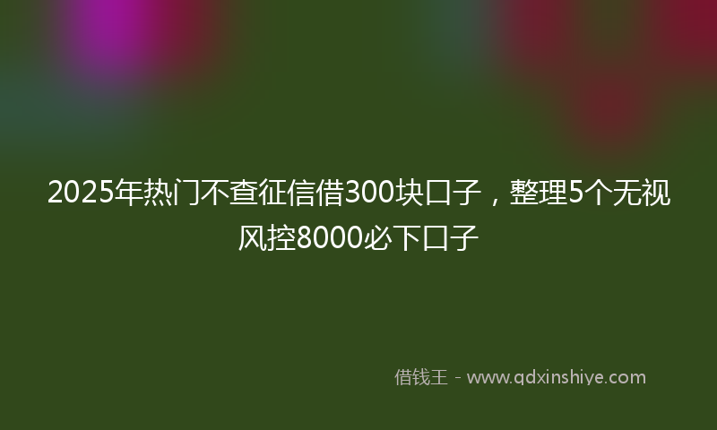 2025年热门不查征信借300块口子，整理5个无视风控8000必下口子