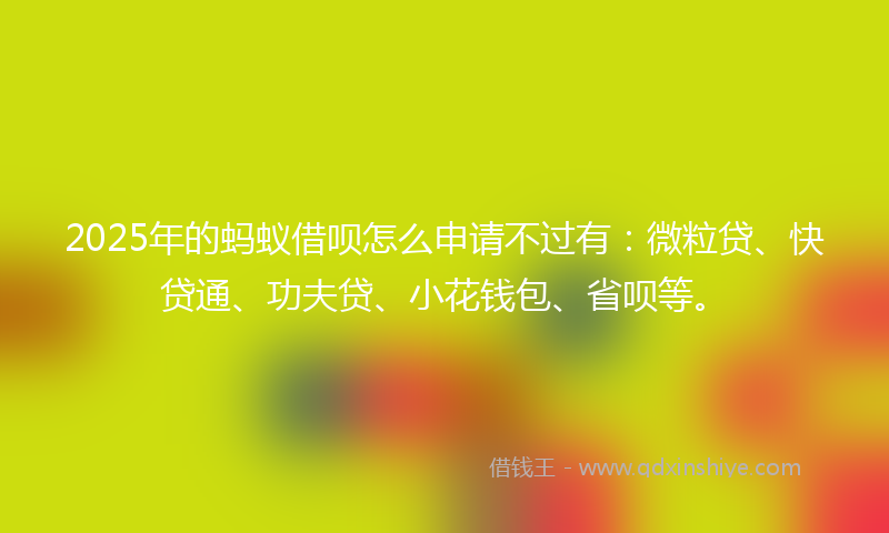 2025年的蚂蚁借呗怎么申请不过有：微粒贷、快贷通、功夫贷、小花钱包、省呗等。