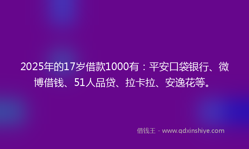 2025年的17岁借款1000有：平安口袋银行、微博借钱、51人品贷、拉卡拉、安逸花等。