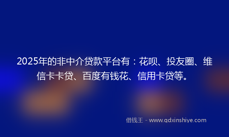 2025年的非中介贷款平台有：花呗、投友圈、维信卡卡贷、百度有钱花、信用卡贷等。