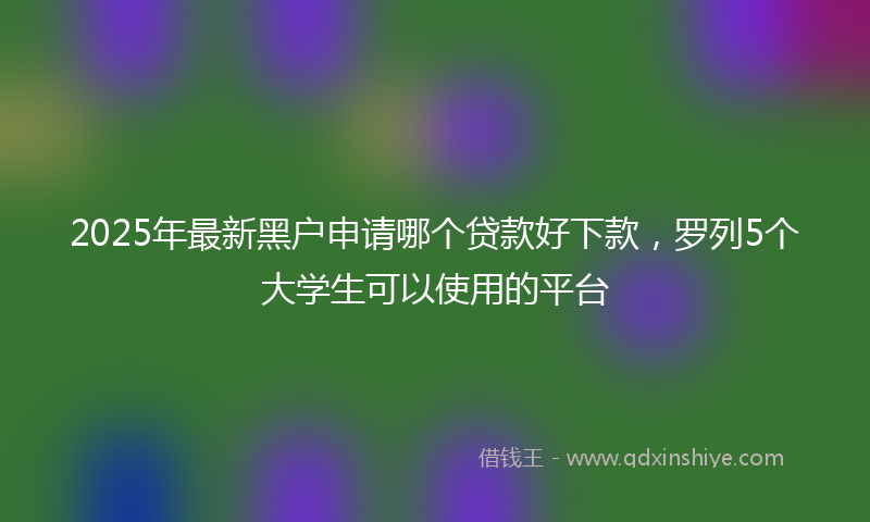 2025年最新黑户申请哪个贷款好下款，罗列5个大学生可以使用的平台