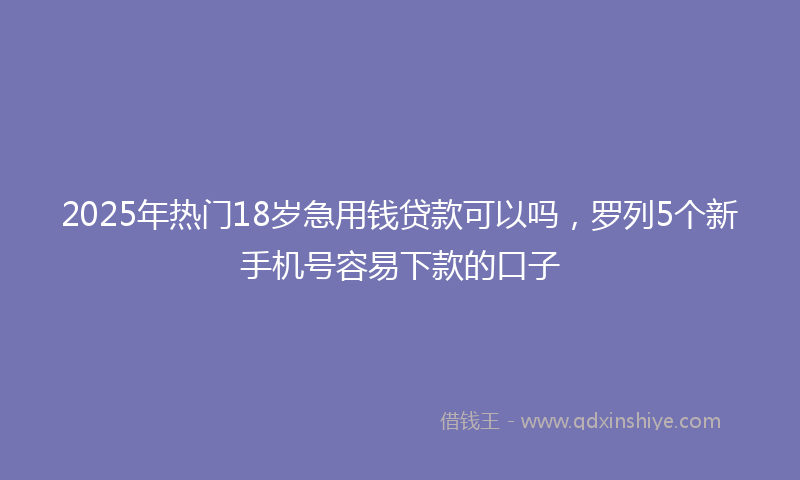 2025年热门18岁急用钱贷款可以吗，罗列5个新手机号容易下款的口子