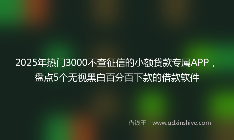 2025年热门3000不查征信的小额贷款专属APP，盘点5个无视黑白百分百下款的借款软件