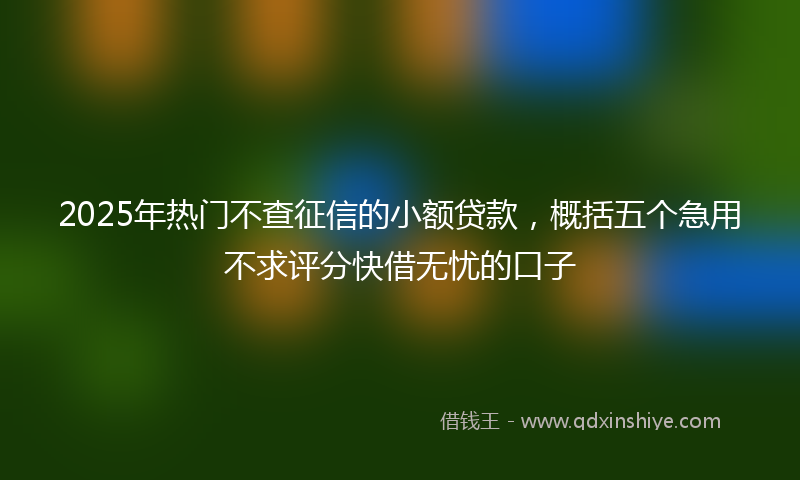 2025年热门不查征信的小额贷款，概括五个急用不求评分快借无忧的口子