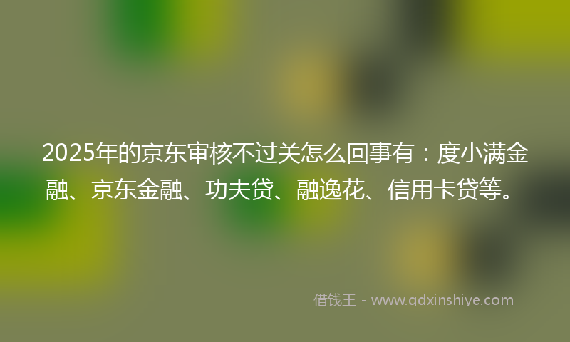 2025年的京东审核不过关怎么回事有：度小满金融、京东金融、功夫贷、融逸花、信用卡贷等。