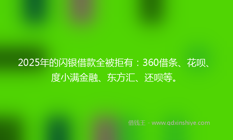 2025年的闪银借款全被拒有：360借条、花呗、度小满金融、东方汇、还呗等。