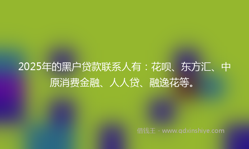 2025年的黑户贷款联系人有：花呗、东方汇、中原消费金融、人人贷、融逸花等。