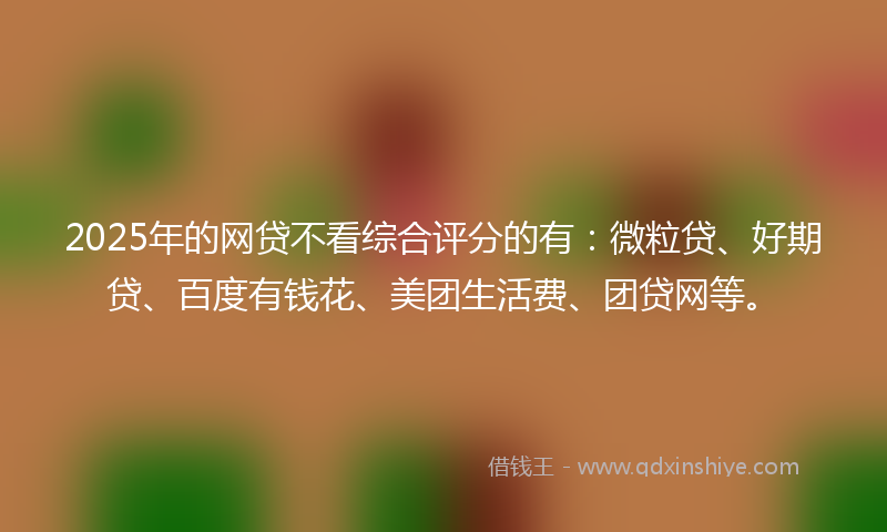 2025年的网贷不看综合评分的有：微粒贷、好期贷、百度有钱花、美团生活费、团贷网等。