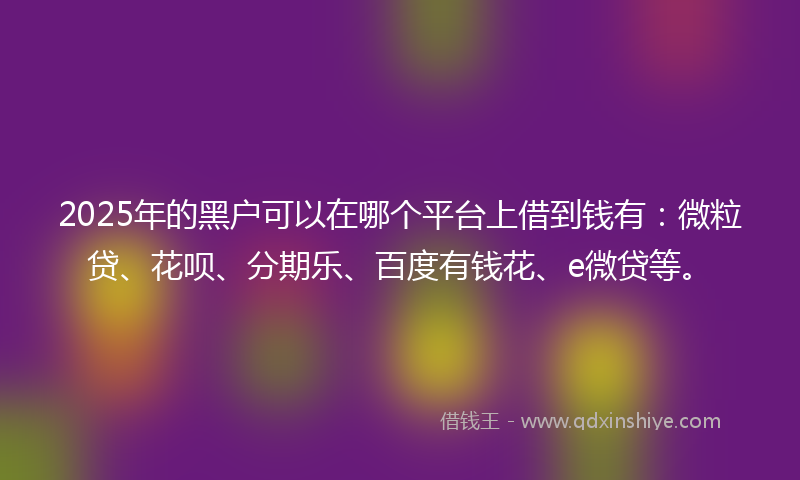 2025年的黑户可以在哪个平台上借到钱有：微粒贷、花呗、分期乐、百度有钱花、e微贷等。