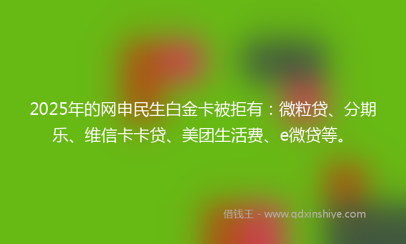 2025年的网申民生白金卡被拒有：微粒贷、分期乐、维信卡卡贷、美团生活费、e微贷等。