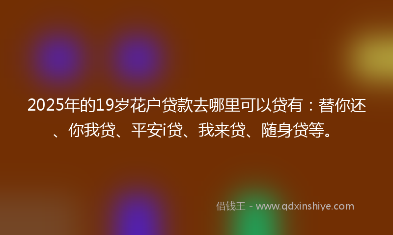 2025年的19岁花户贷款去哪里可以贷有：替你还、你我贷、平安i贷、我来贷、随身贷等。