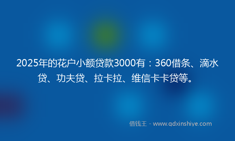 2025年的花户小额贷款3000有：360借条、滴水贷、功夫贷、拉卡拉、维信卡卡贷等。