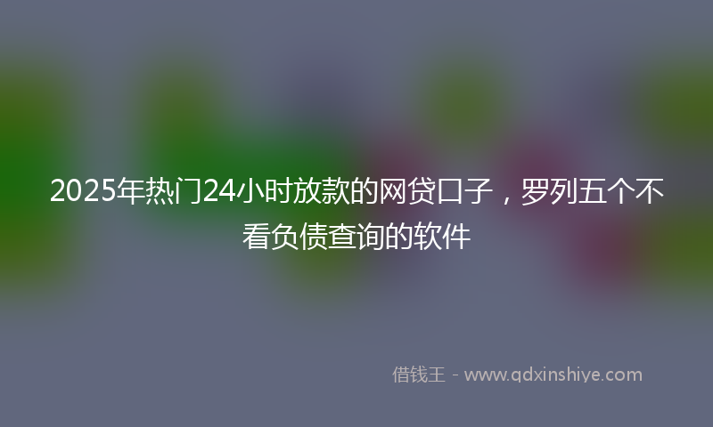 2025年热门24小时放款的网贷口子，罗列五个不看负债查询的软件