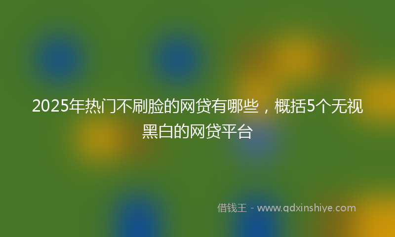 2025年热门不刷脸的网贷有哪些，概括5个无视黑白的网贷平台