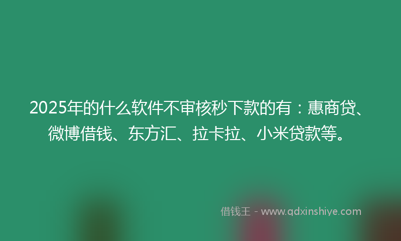 2025年的什么软件不审核秒下款的有：惠商贷、微博借钱、东方汇、拉卡拉、小米贷款等。