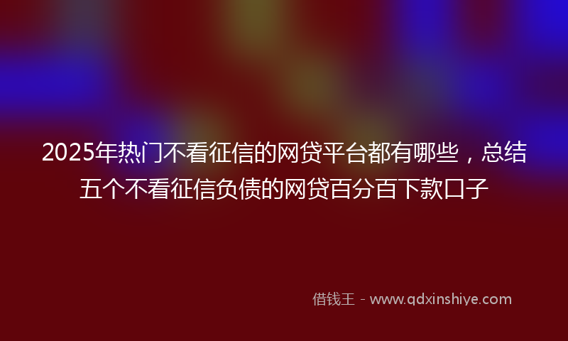 2025年热门不看征信的网贷平台都有哪些，总结五个不看征信负债的网贷百分百下款口子