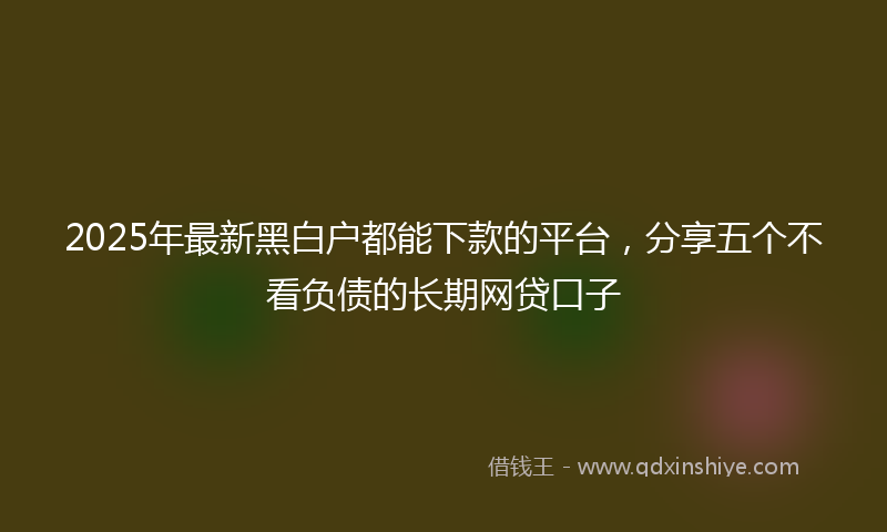 2025年最新黑白户都能下款的平台，分享五个不看负债的长期网贷口子