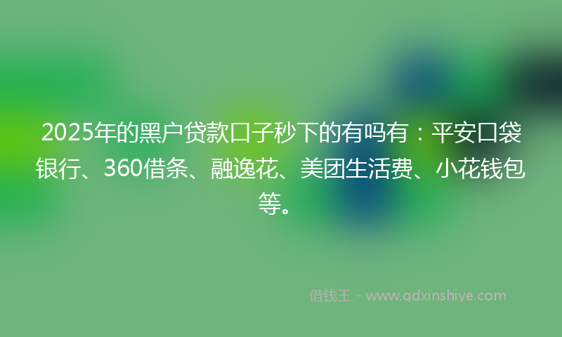 2025年的黑户贷款口子秒下的有吗有：平安口袋银行、360借条、融逸花、美团生活费、小花钱包等。