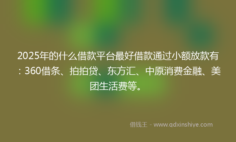 2025年的什么借款平台最好借款通过小额放款有：360借条、拍拍贷、东方汇、中原消费金融、美团生活费等。
