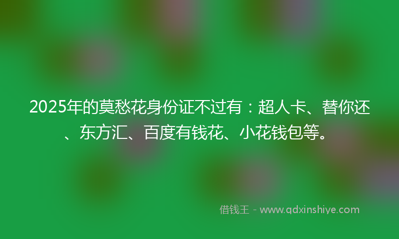 2025年的莫愁花身份证不过有：超人卡、替你还、东方汇、百度有钱花、小花钱包等。