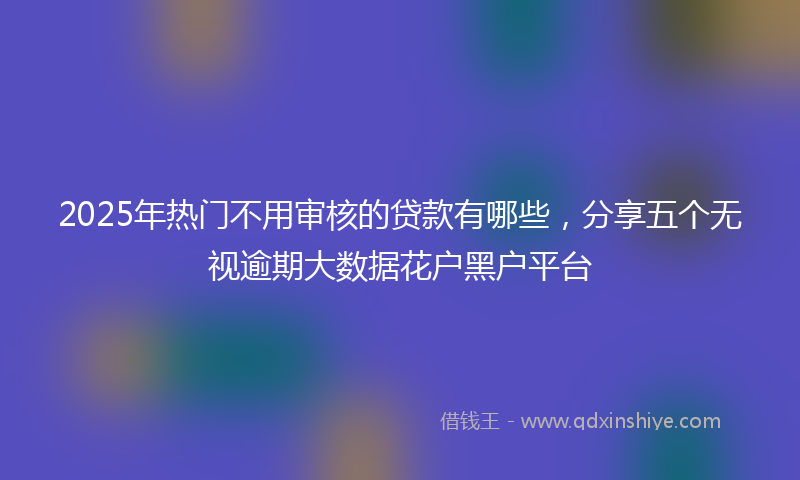 2025年热门不用审核的贷款有哪些，分享五个无视逾期大数据花户黑户平台