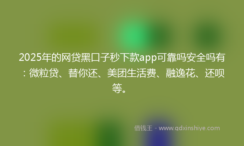 2025年的网贷黑口子秒下款app可靠吗安全吗有：微粒贷、替你还、美团生活费、融逸花、还呗等。