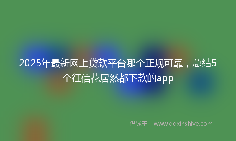 2025年最新网上贷款平台哪个正规可靠，总结5个征信花居然都下款的app