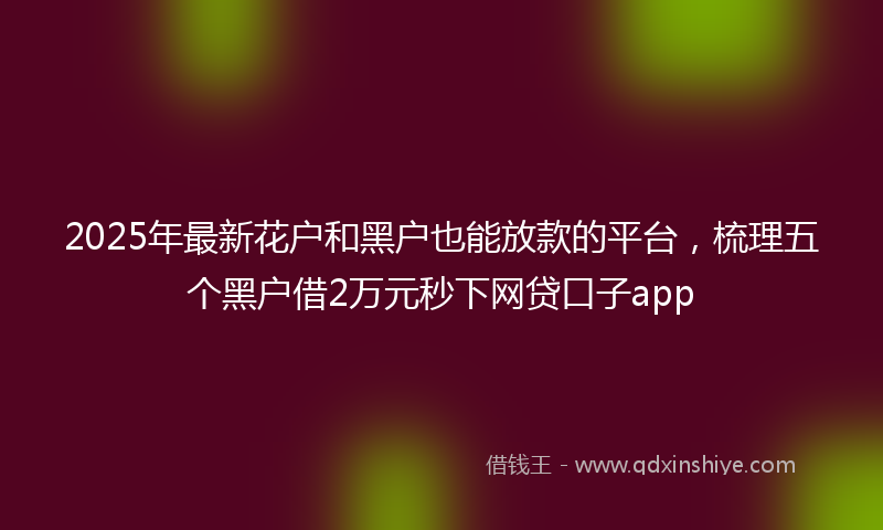 2025年最新花户和黑户也能放款的平台，梳理五个黑户借2万元秒下网贷口子app