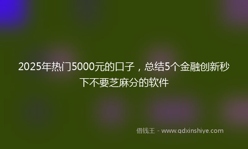 2025年热门5000元的口子，总结5个金融创新秒下不要芝麻分的软件