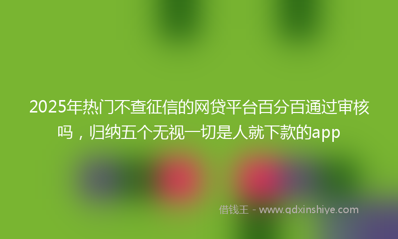 2025年热门不查征信的网贷平台百分百通过审核吗，归纳五个无视一切是人就下款的app