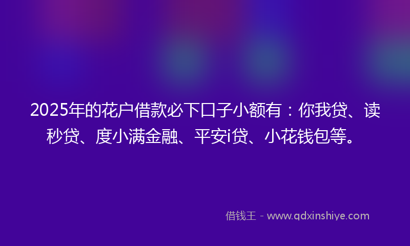 2025年的花户借款必下口子小额有：你我贷、读秒贷、度小满金融、平安i贷、小花钱包等。