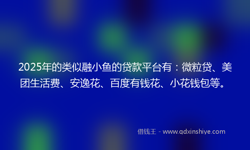 2025年的类似融小鱼的贷款平台有：微粒贷、美团生活费、安逸花、百度有钱花、小花钱包等。