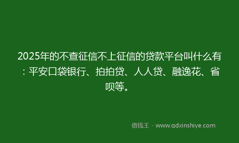 2025年的不查征信不上征信的贷款平台叫什么有：平安口袋银行、拍拍贷、人人贷、融逸花、省呗等。