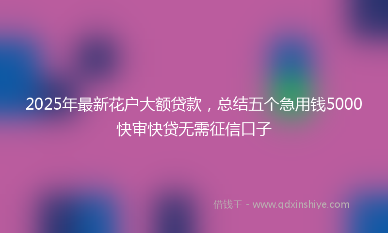 2025年最新花户大额贷款，总结五个急用钱5000快审快贷无需征信口子