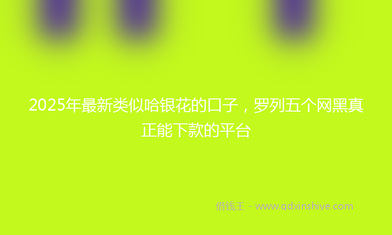 2025年最新类似哈银花的口子，罗列五个网黑真正能下款的平台