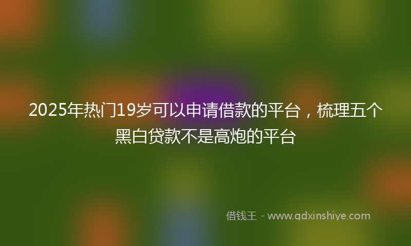 2025年热门19岁可以申请借款的平台，梳理五个黑白贷款不是高炮的平台