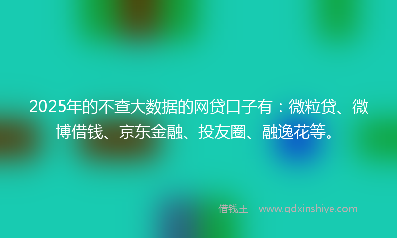 2025年的不查大数据的网贷口子有：微粒贷、微博借钱、京东金融、投友圈、融逸花等。