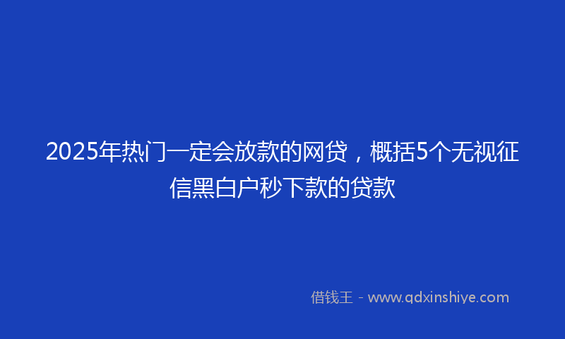 2025年热门一定会放款的网贷，概括5个无视征信黑白户秒下款的贷款