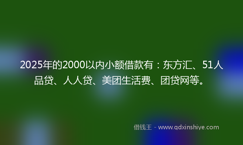 2025年的2000以内小额借款有：东方汇、51人品贷、人人贷、美团生活费、团贷网等。