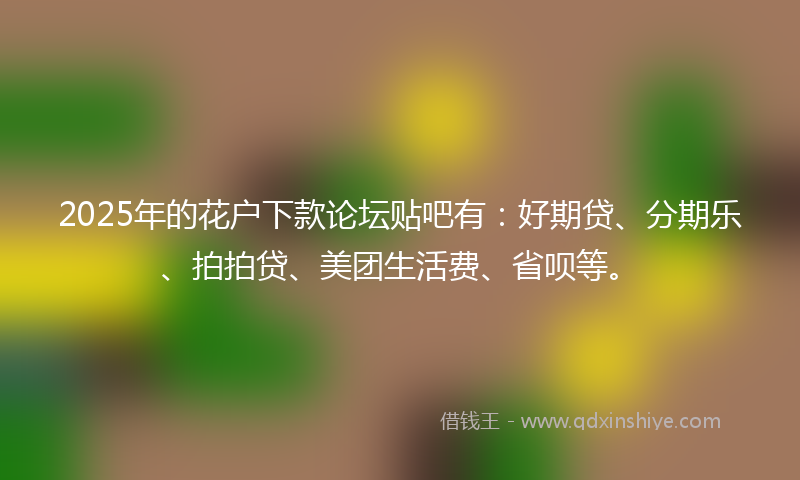 2025年的花户下款论坛贴吧有：好期贷、分期乐、拍拍贷、美团生活费、省呗等。