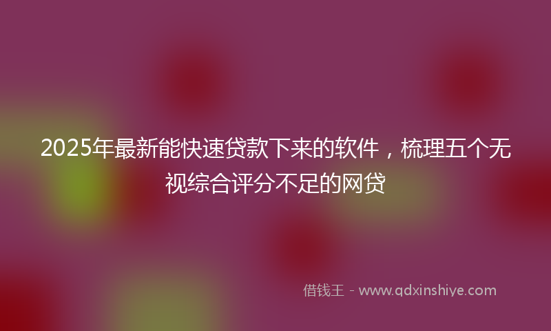 2025年最新能快速贷款下来的软件，梳理五个无视综合评分不足的网贷